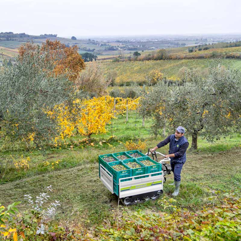 ingenti-portate-utili-del-cassone