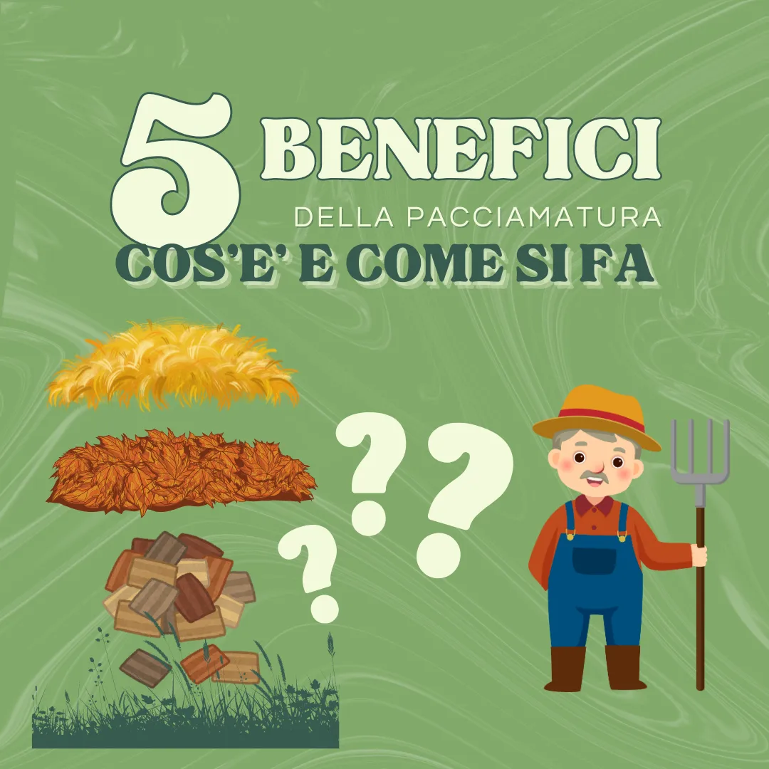 come-si-fa-la-pacciamatura