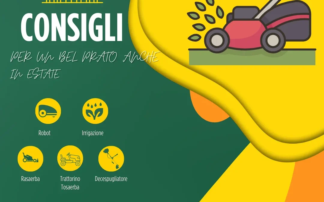 Consigli per avere un bel prato