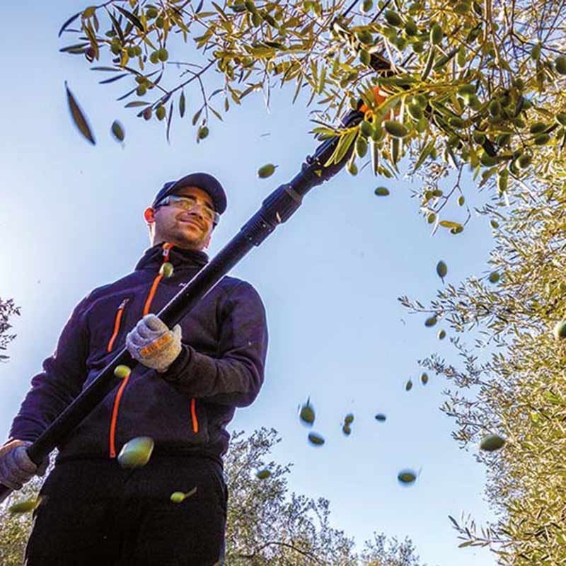 officine-con-tecnici-specializzati