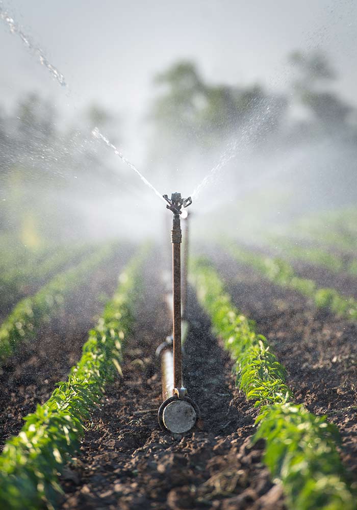 progettazione-impianti-di-irrigazione-parma-reggio-emilia