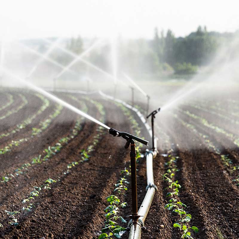 progetto-per-impianto-di-irrigazione