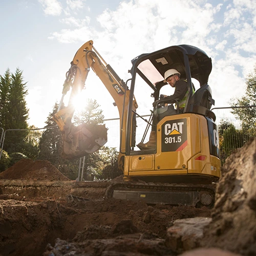 roli-d-srl-partner-e-collaborazioni-cat roli-d-srl-partner-e-collaborazioni-cat